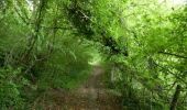 Tour Wandern Caumont - Randonnée à Castelmoron-d'Albret par Caumont-Est - Photo 2