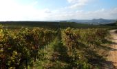 Randonnée Marche Saint-Laurent-des-Arbres - Les Vignobles de Lirac  - Saint Laurent des Arbres - Photo 2