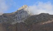 Randonnée Marche Laruns - Pic de la Gentiane depuis Goust - Photo 5