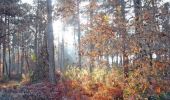 Tocht Stappen Réaup-Lisse - Lisse, aux portes de la forêt Landaise - Photo 1