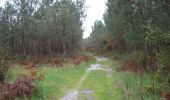 Percorso Cavallo Réaup-Lisse - Lisse, aux portes de la forêt Landaise - Photo 2