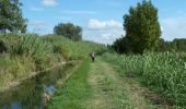 Randonnée Marche Meynes - Bois de Clausonne et Costière - Meynes - Photo 1