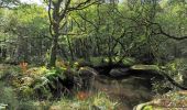 Tour Pferd Loqueffret - Monts d'Arrée et Brennilis - Locqueffret - Photo 5