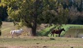 Tocht Paard Mesnil-Roc'h - Circuit des deux forêts et Pays du Granit  - Photo 1