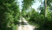 Trail Equestrian Saint-Broladre - Voie Verte de la Baie du Mont-Saint-Michel - Photo 5