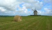 Trail Equestrian Saint-Broladre - Voie Verte de la Baie du Mont-Saint-Michel - Photo 2