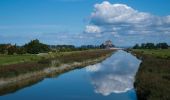 Trail Equestrian Saint-Broladre - Voie Verte de la Baie du Mont-Saint-Michel - Photo 1