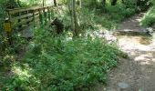 Percorso Marcia Montaigut-le-Blanc - Du pont de Rognon à Treizanches - Photo 1