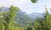 Trail Walking Chamaloc - Les Planeaux - Chamaloc - Photo 2