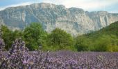 Trail Walking Chamaloc - Les Planeaux - Chamaloc - Photo 1