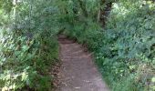 Tocht Paard Iffendic - Au coeur des légendes dans la forêt de Paimpont - Photo 4