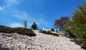Trail Walking Bédoin - Le Mont Ventoux en randonnée par Saint Colombe - Photo 3