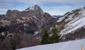 Tour Schneeschuhwandern Jarsy - La Pointe de la Limace 1836m, depuis le Coudray - Photo 1