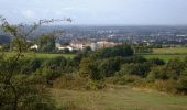 Tocht Stappen Les Herbiers - Autour du Mont des Alouettes - Les Herbiers - Photo 1