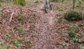 Trail Mountain bike Cliron - De Charroué à Arreux par Montcornet - Photo 5
