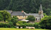 Randonnée Course à pied La Petite-Verrière - Autour de La Petite Verrière - Photo 4