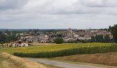 Randonnée V.T.T. Mézin - De Mézin à Villeneuve-de-Mézin, sur la route de Compostelle - Photo 1