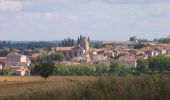 Excursión Caballo Mézin - De Mézin à Villeneuve-de-Mézin, sur la route de Compostelle - Photo 5