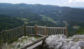 Tocht Mountainbike Les Rousses - Tour du Gros Crétet - Les Rousses - Photo 1