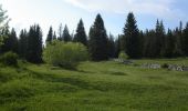 Excursión Bici de montaña Bois-d'Amont - Tour de Chaux Sèche - Bois d'Amont - Photo 2