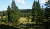 Excursión Bici de montaña Bois-d'Amont - Tour de Chaux Sèche - Bois d'Amont - Photo 1