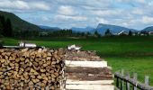 Trail Cycle Bois-d'Amont - Tour du Lac de Joux - Bois d'Amont  - Photo 4