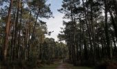Trail Walking Anglet - Forêts de Pignada et Chiberta - Anglet - Photo 6