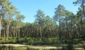 Tocht Stappen Anglet - Forêts de Pignada et Chiberta - Anglet - Photo 5