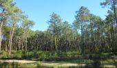 Percorso Marcia Anglet - Forêts de Pignada et Chiberta - Anglet - Photo 5