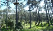 Randonnée Marche Anglet - Forêts de Pignada et Chiberta - Anglet - Photo 4