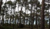 Randonnée Marche Anglet - Forêts de Pignada et Chiberta - Anglet - Photo 3