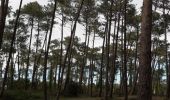 Tour Wandern Anglet - Forêts de Pignada et Chiberta - Anglet - Photo 3