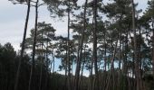 Percorso Marcia Anglet - Forêts de Pignada et Chiberta - Anglet - Photo 2