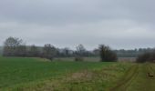 Tocht Stappen Entrains-sur-Nohain - Circuit de la nature - Entrains sur Nohain - Photo 1