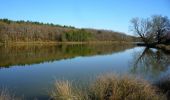 Trail Mountain bike Miramont-de-Guyenne - Tour de Miramont de Guyenne - Photo 2