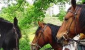 Tocht Paard Mauron - Forêt et Pivolet - Mauron - Photo 5