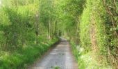 Trail Walking Saint-Symphorien - Chemin du Vent d'Ouest - Saint-Symphorien - Photo 1