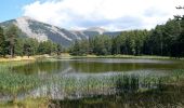 Excursión Senderismo Bayons - Baudinard - Lac des Monges - Crête du Raus - Photo 6