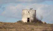 Trail Walking Remoulins - Une léproserie sous les falaises de Castillon du Gard - Remoulins - Photo 5