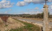 Excursión Senderismo Remoulins - Une léproserie sous les falaises de Castillon du Gard - Remoulins - Photo 4