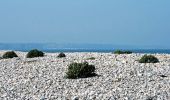 Excursión Bici de montaña Saint-Blimont - Rando VTT du bord de mer - Cayeux sur Mer - Photo 2