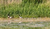 Tocht Mountainbike Saint-Blimont - Rando VTT du bord de mer - Cayeux sur Mer - Photo 1