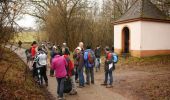 Trail Walking Bousseviller - De Bousseviller à Eberbach - Photo 5