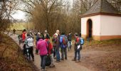 Tocht Stappen Bousseviller - De Bousseviller à Eberbach - Photo 5