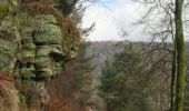 Tour Wandern Busweiler - De Bousseviller à Eberbach - Photo 4