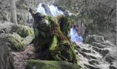 Excursión Senderismo Le Tholy - Les deux Cascades de Tendon - Photo 4