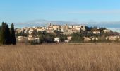 Excursión Bici de montaña Théziers - Domazan et le Castelas - Théziers - Photo 5