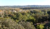 Excursión Bici de montaña Théziers - Domazan et le Castelas - Théziers - Photo 3