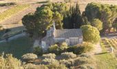 Excursión Bici de montaña Théziers - Domazan et le Castelas - Théziers - Photo 2