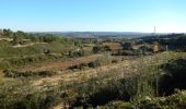 Excursión Bici de montaña Théziers - Domazan et le Castelas - Théziers - Photo 1